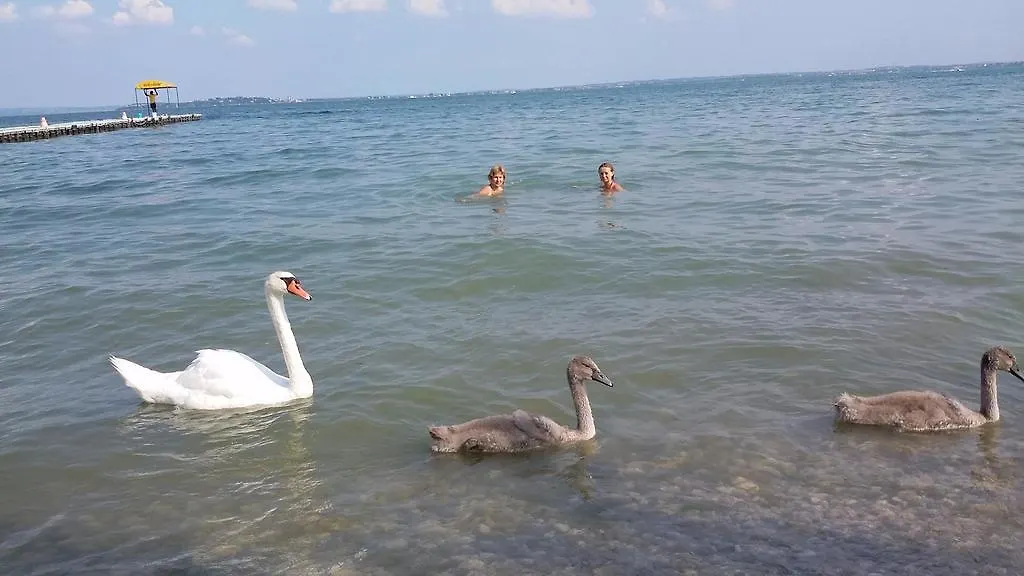 **  Hotel Du Lac Moniga del Garda Italy